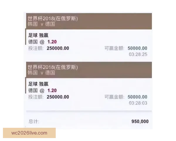 世界杯竞猜高赔率平台推荐，让你轻松掌握投注技巧赢大奖